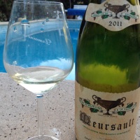 Qui boit du Meursault, ne vit ni ne meurt sot !